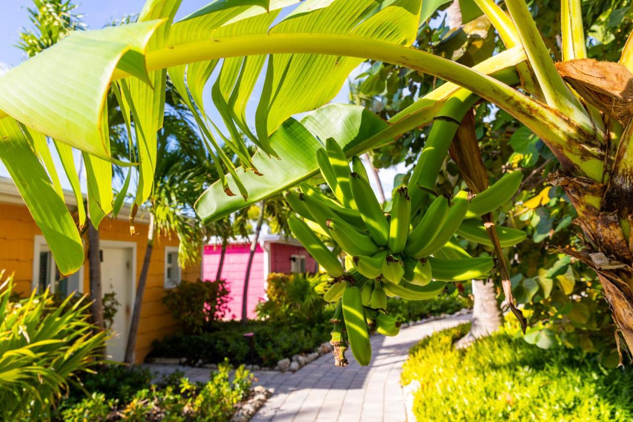 La Siesta Resort&villas 4* Islamorada
